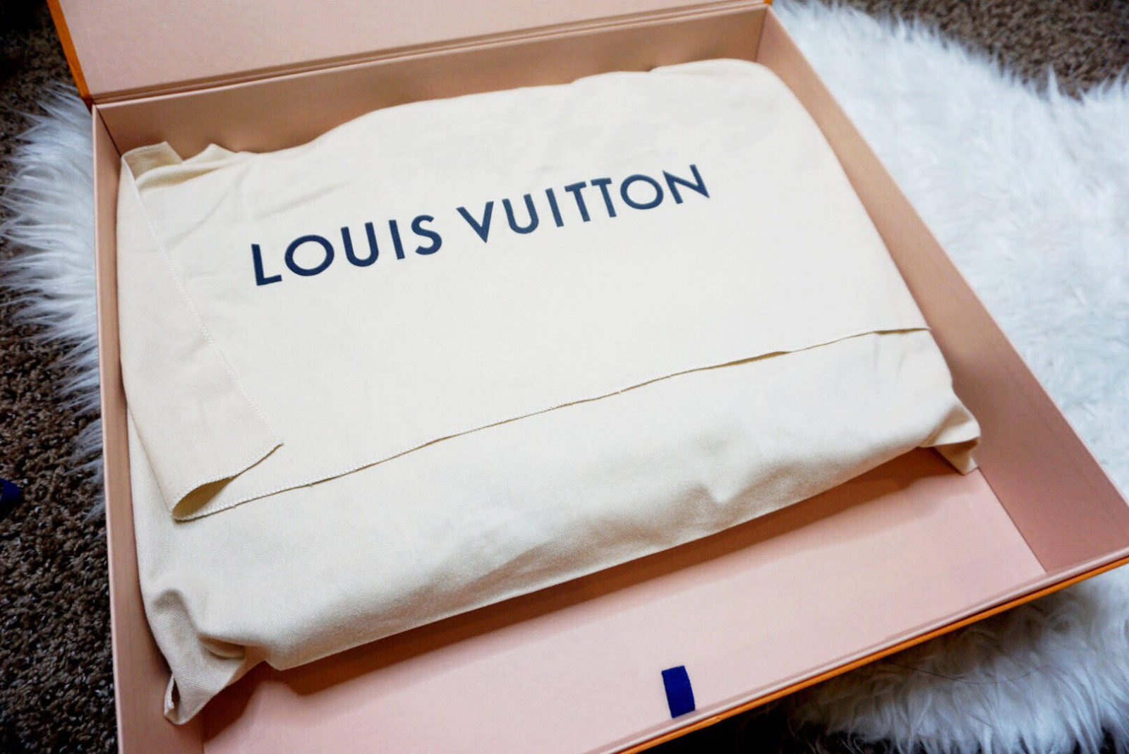 Louis Vuitton Neverfull MM (Rose Ballerine) Review 